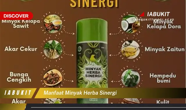 manfaat minyak herba sinergi