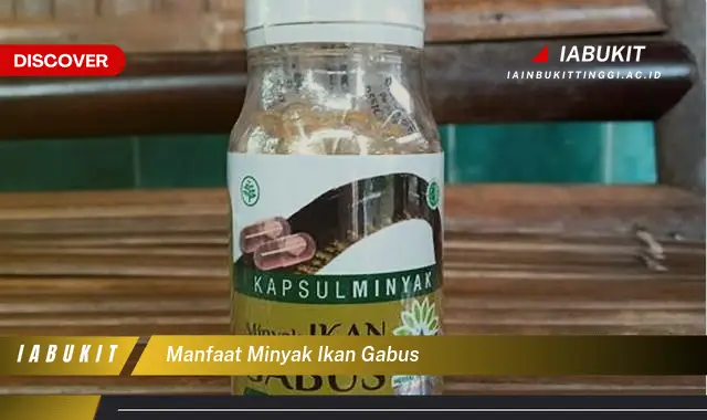 manfaat minyak ikan gabus