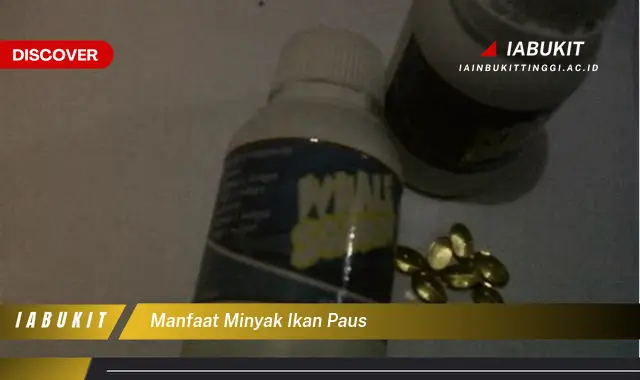 manfaat minyak ikan paus