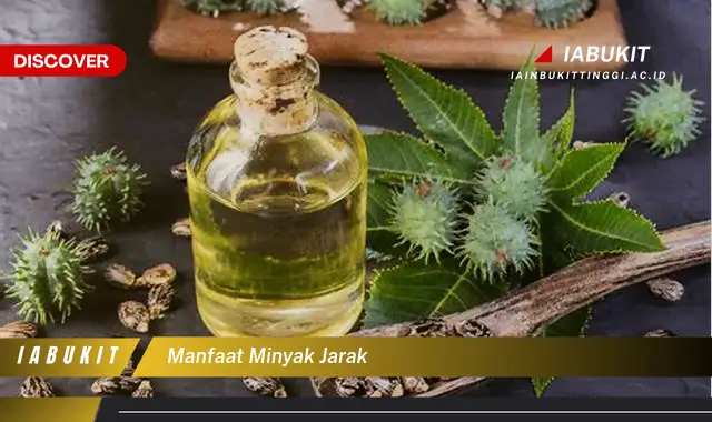 manfaat minyak jarak manfaat minyak jarak