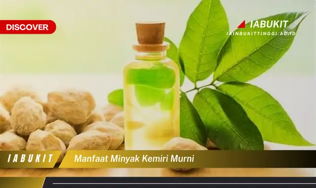 manfaat minyak kemiri murni