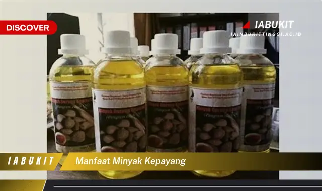 manfaat minyak kepayang