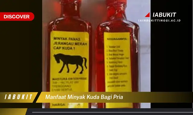 manfaat minyak kuda bagi pria