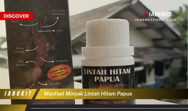 manfaat minyak lintah hitam papua