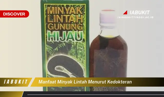 manfaat minyak lintah menurut kedokteran