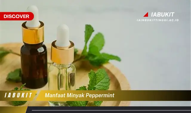 manfaat minyak peppermint manfaat minyak peppermint