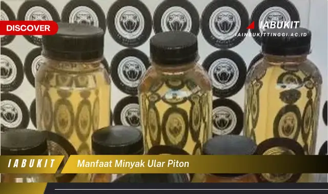 manfaat minyak ular piton