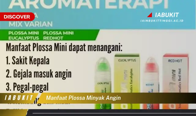 manfaat plossa minyak angin