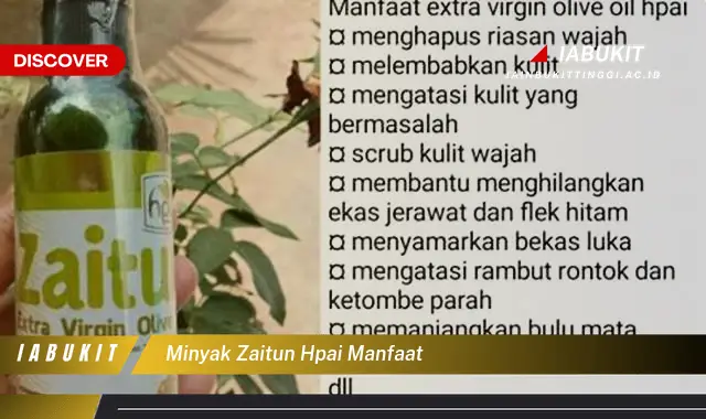 minyak zaitun hpai manfaat