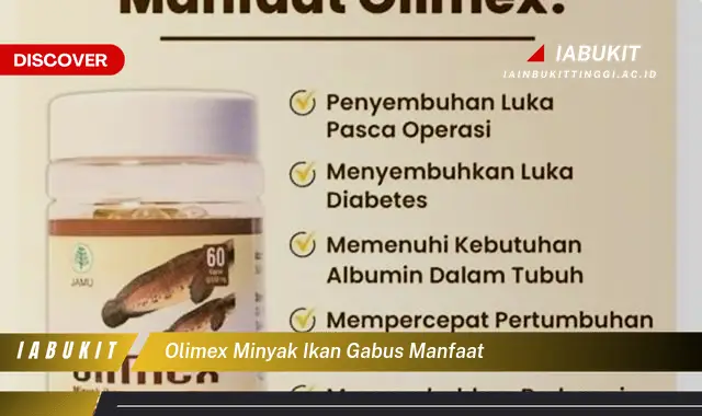 olimex minyak ikan gabus manfaat