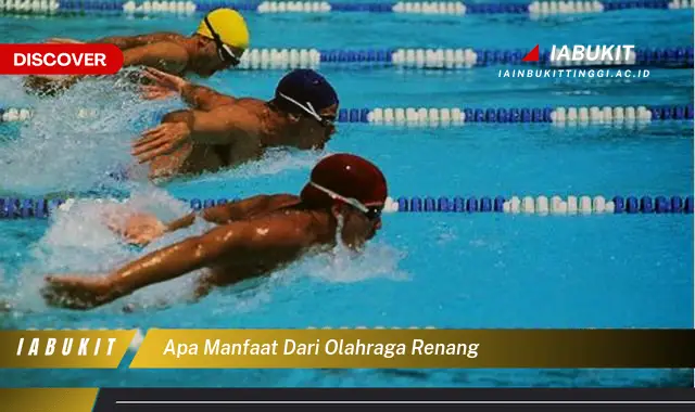 apa manfaat dari olahraga renang