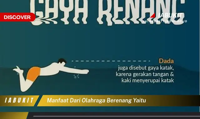 manfaat dari olahraga berenang yaitu manfaat dari olahraga berenang yaitu