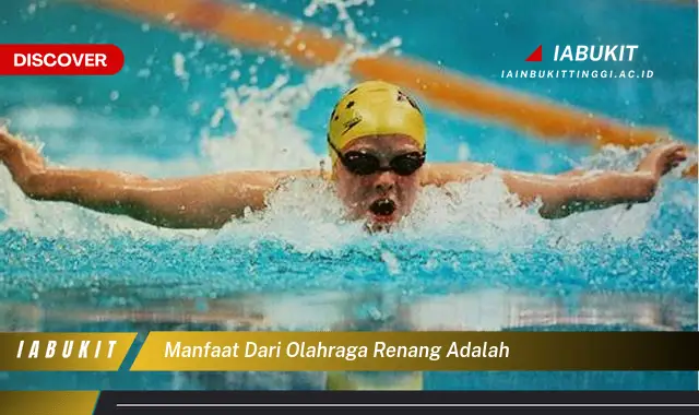 manfaat dari olahraga renang adalah