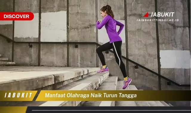 manfaat olahraga naik turun tangga manfaat olahraga naik turun tangga