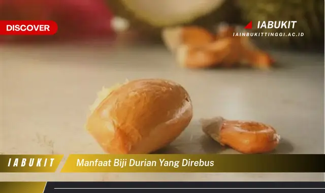 manfaat biji durian yang direbus