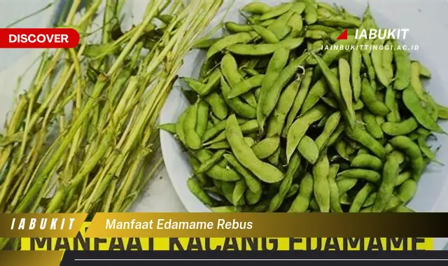 manfaat edamame rebus