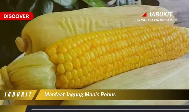 manfaat jagung manis rebus