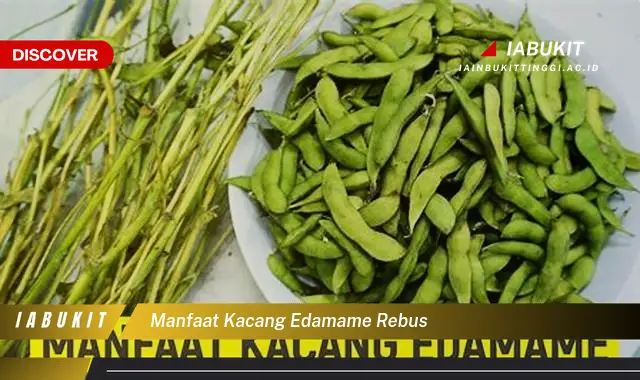 manfaat kacang edamame rebus manfaat kacang edamame rebus