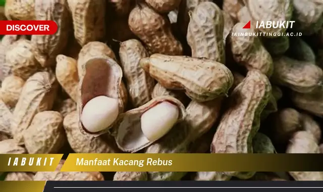 manfaat kacang rebus