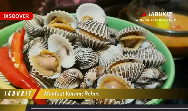 manfaat kerang rebus