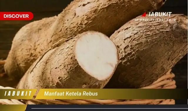 manfaat ketela rebus