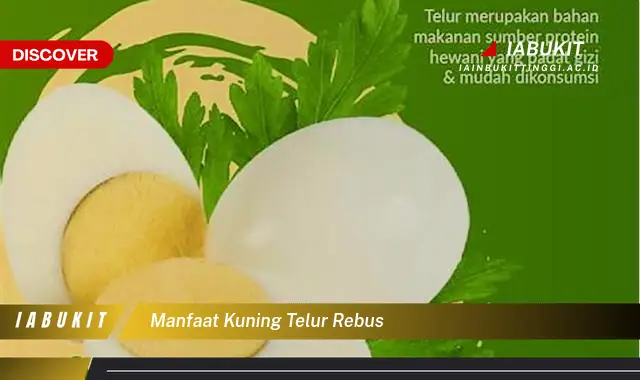 manfaat kuning telur rebus