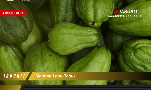 manfaat labu rebus