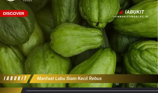 manfaat labu siam kecil rebus