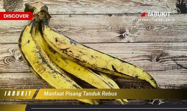 manfaat pisang tanduk rebus