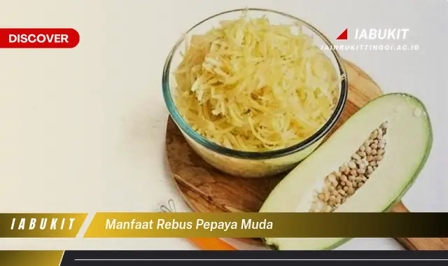 manfaat rebus pepaya muda