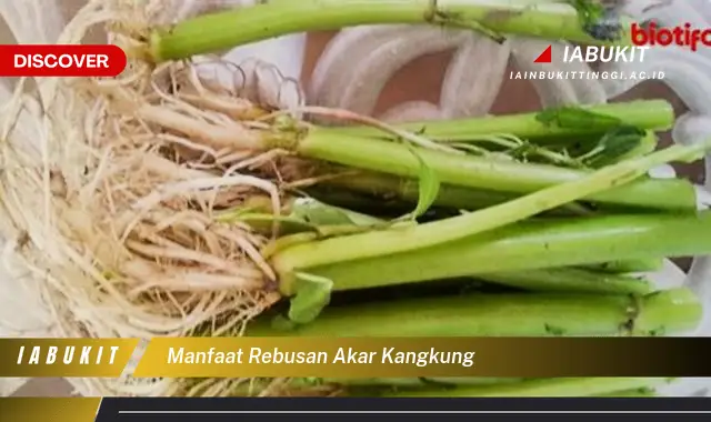 manfaat rebusan akar kangkung manfaat rebusan akar kangkung