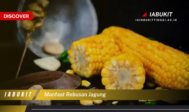 manfaat rebusan jagung