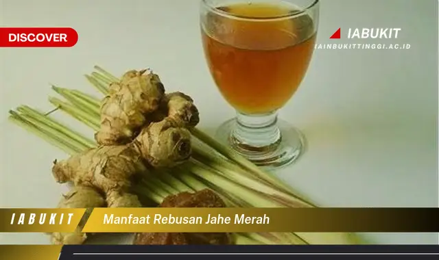 manfaat rebusan jahe merah