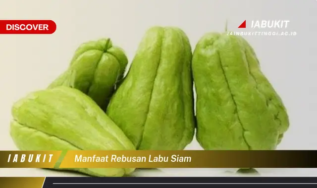 manfaat rebusan labu siam manfaat rebusan labu siam