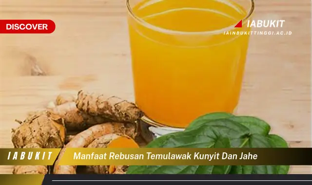 manfaat rebusan temulawak kunyit dan jahe