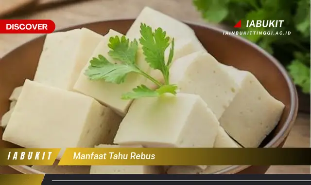 manfaat tahu rebus