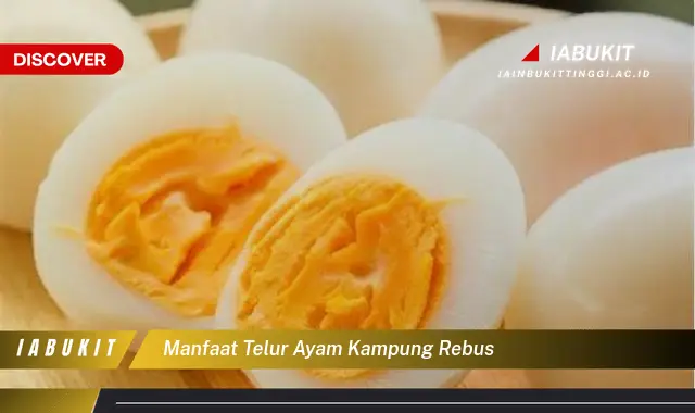 manfaat telur ayam kampung rebus