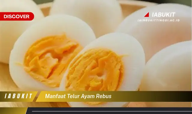 manfaat telur ayam rebus