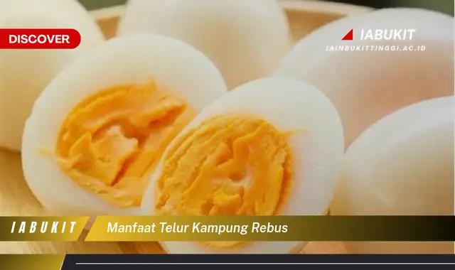 manfaat telur kampung rebus manfaat telur kampung rebus