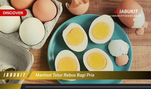 manfaat telur rebus bagi pria