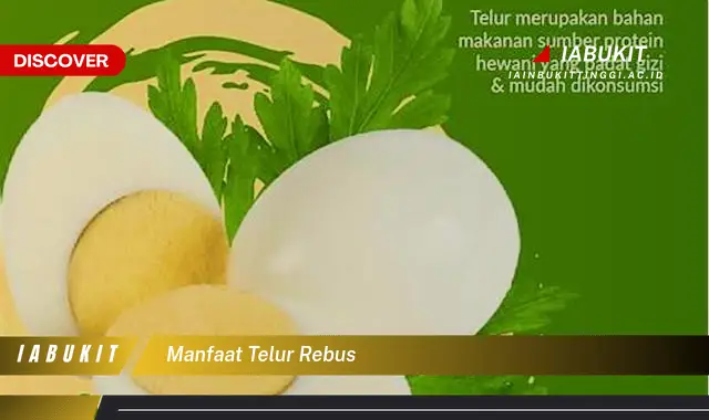 manfaat telur rebus