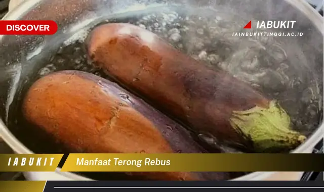 Intip 7 Manfaat Terong Rebus yang Jarang Diketahui - Discover