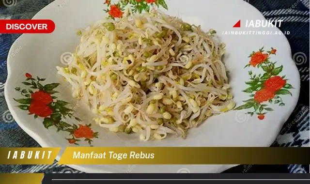 Intip 7 Manfaat Toge Rebus yang Wajib Kamu Tahu - Discover
