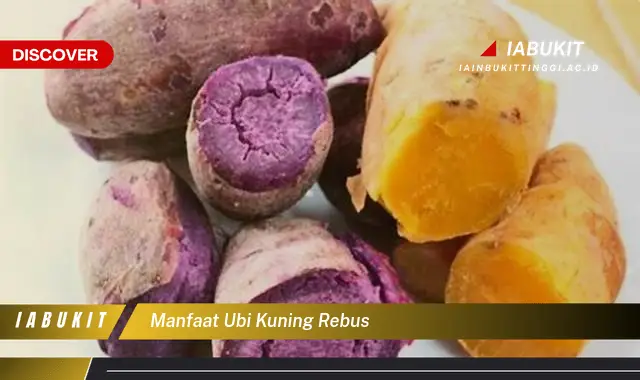 manfaat ubi kuning rebus