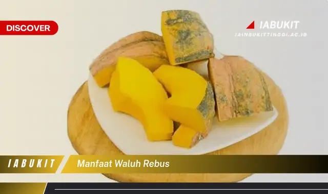 manfaat waluh rebus manfaat waluh rebus
