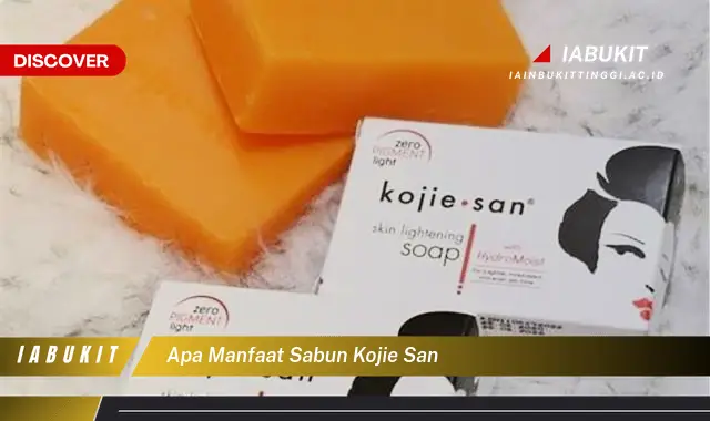 apa manfaat sabun kojie san