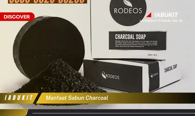 manfaat sabun charcoal