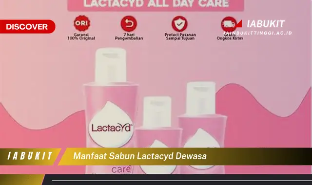 manfaat sabun lactacyd dewasa