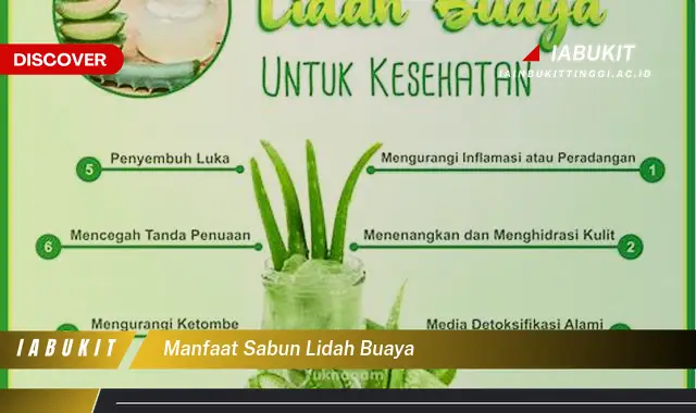 manfaat sabun lidah buaya