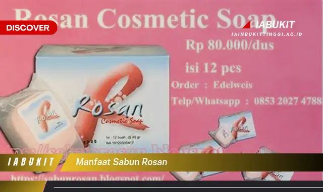 manfaat sabun rosan